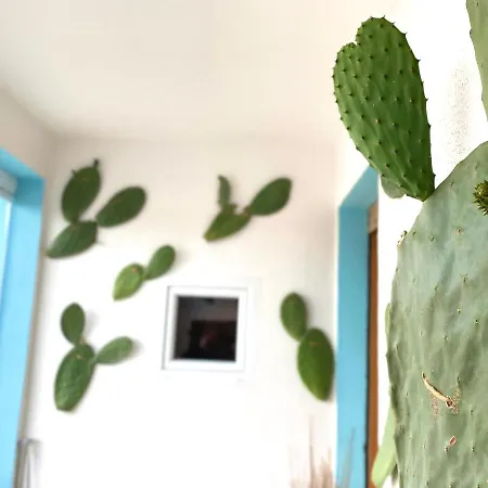 Canduleri בית הארחה אורגוסולו