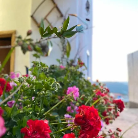 Canduleri Guest house
