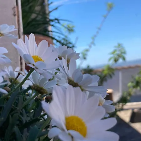 Πανσιόν Canduleri Orgosolo