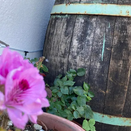 Canduleri בית הארחה