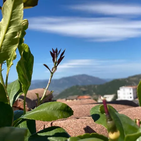 Canduleri Pensión Orgosolo
