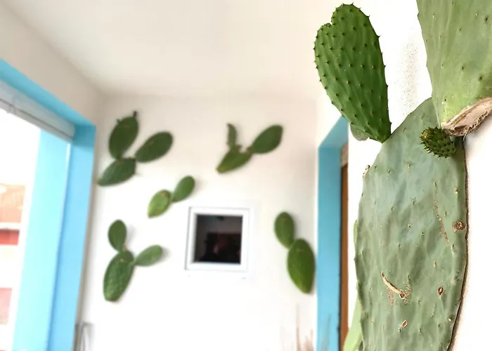 Canduleri Vendégház Orgosolo