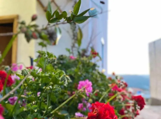 Canduleri Guest house