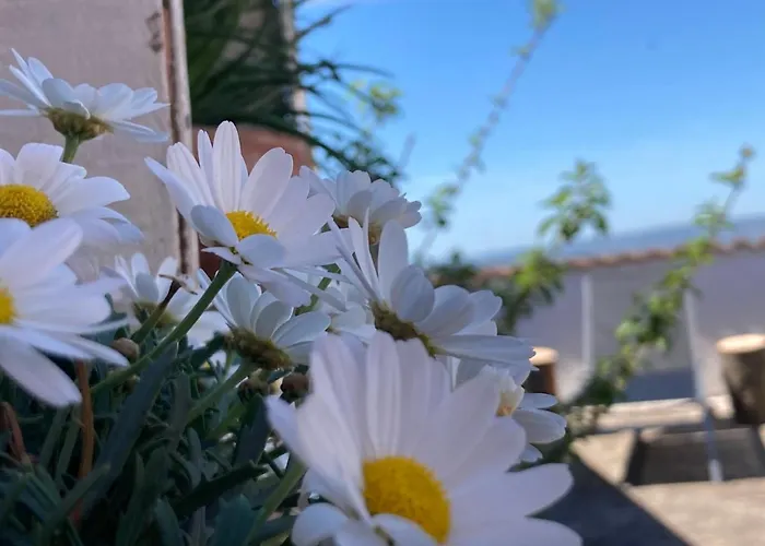 Vendégház Canduleri Orgosolo