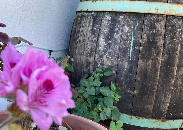 Canduleri Vendégház