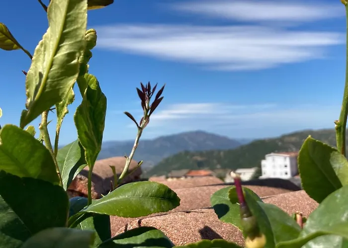 Canduleri Guest house Orgosolo